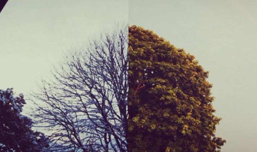 Hunza in Winter vs Summer – Which Season is Better to Visit?