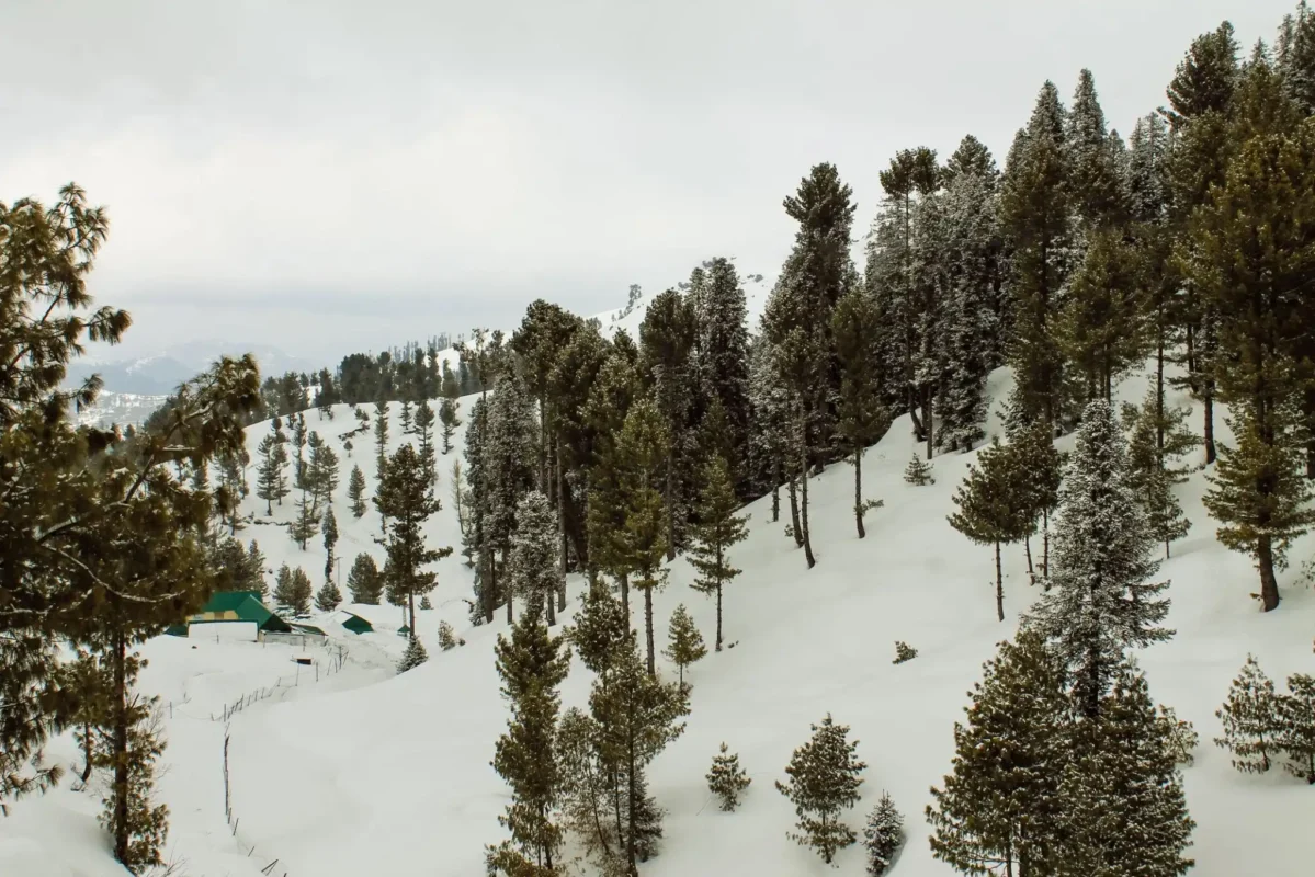 Malam Jabba Tour Package