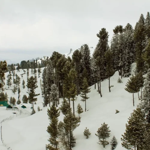 Malam Jabba Tour Package