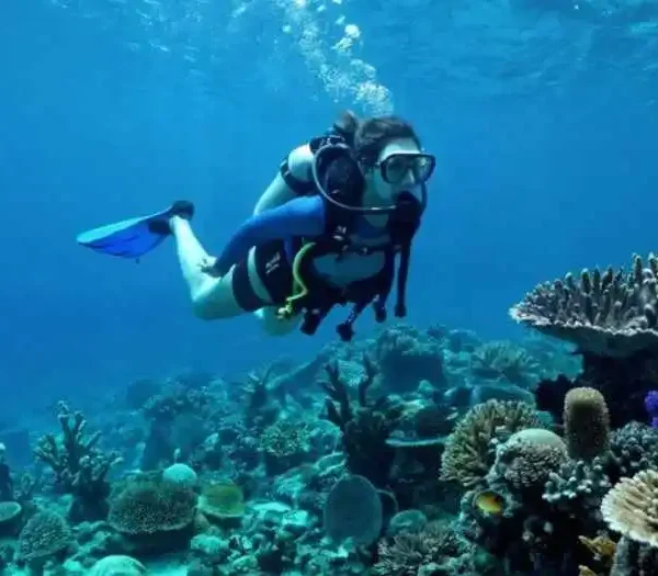 Two-Dive Package at Popular Reef Sites