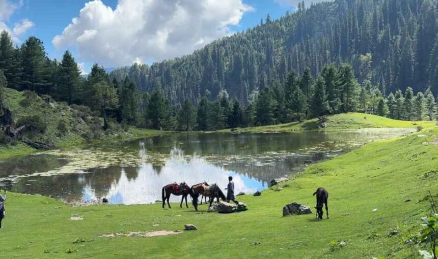Complete Travel Guide to Shogran for First-Time Visitors