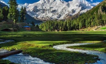 Fairy Meadows