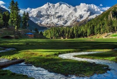 Fairy Meadows