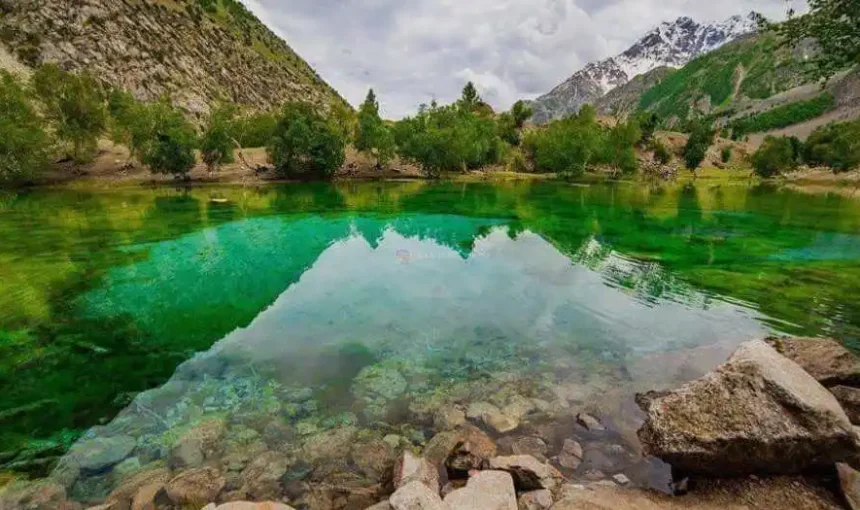 Naltar Valley
